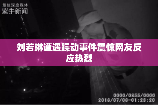 刘若琳遭遇躁动事件震惊网友反应热烈