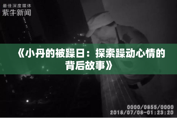 《小丹的被躁日：探索躁动心情的背后故事》