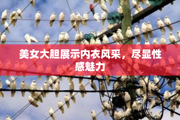 美女大胆展示内衣风采，尽显性感魅力