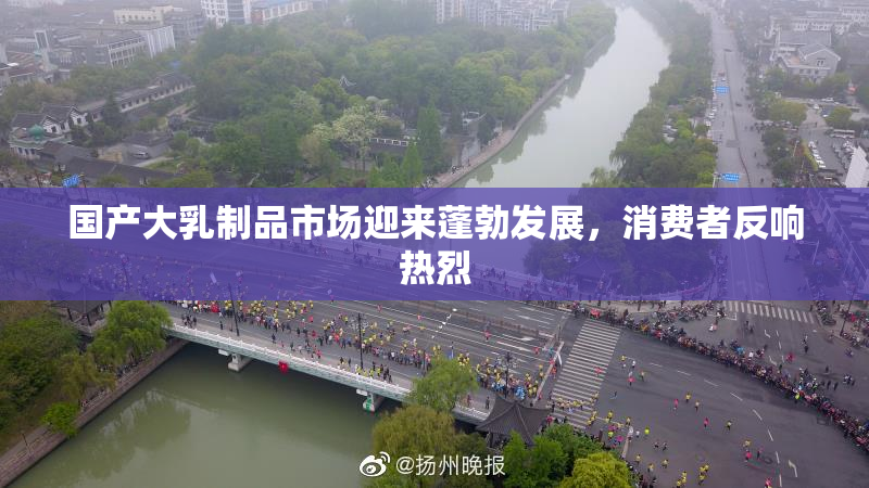 国产大乳制品市场迎来蓬勃发展，消费者反响热烈