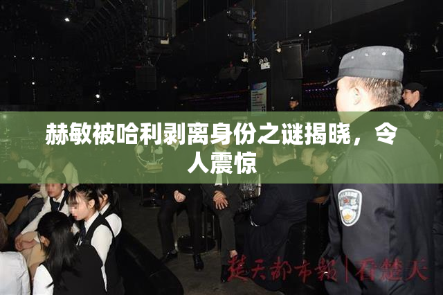 赫敏被哈利剥离身份之谜揭晓，令人震惊
