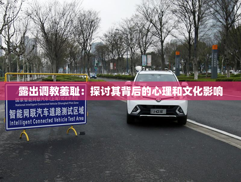 露出调教羞耻：探讨其背后的心理和文化影响