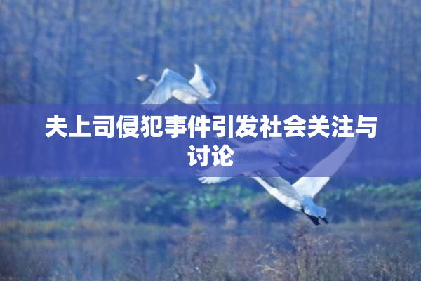 夫上司侵犯事件引发社会关注与讨论