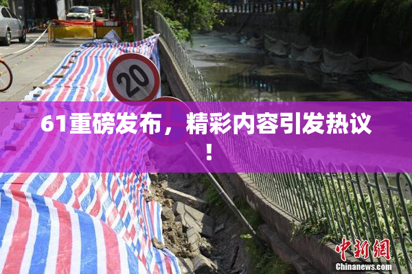 61重磅发布，精彩内容引发热议！