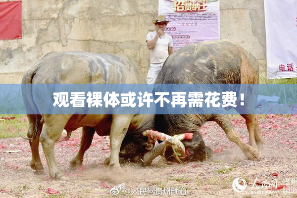 观看裸体或许不再需花费！