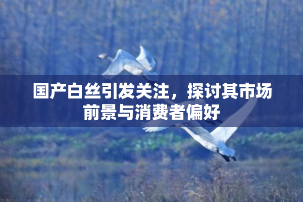 国产白丝引发关注，探讨其市场前景与消费者偏好