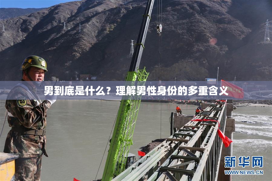男到底是什么？理解男性身份的多重含义
