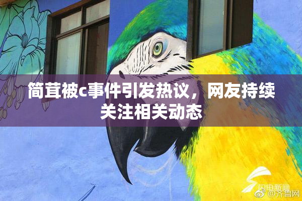 简茸被c事件引发热议，网友持续关注相关动态