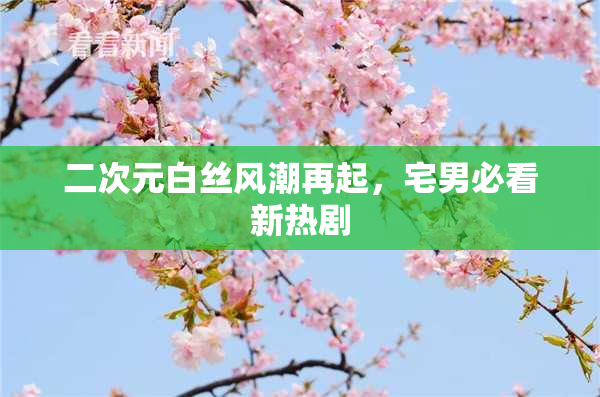 二次元白丝风潮再起，宅男必看新热剧