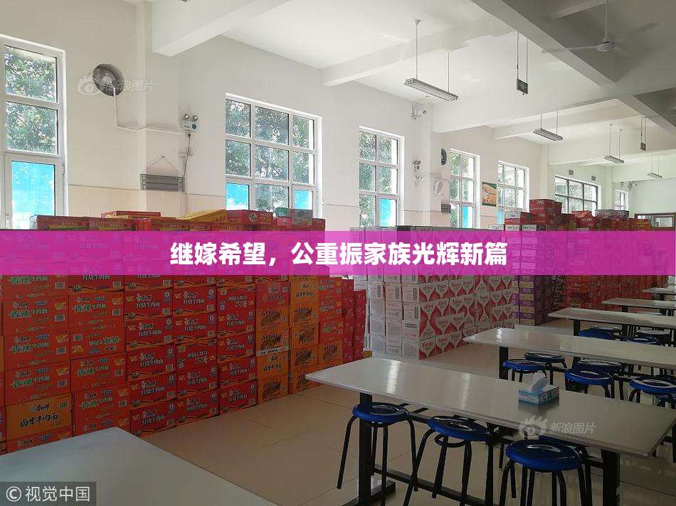 继嫁希望，公重振家族光辉新篇