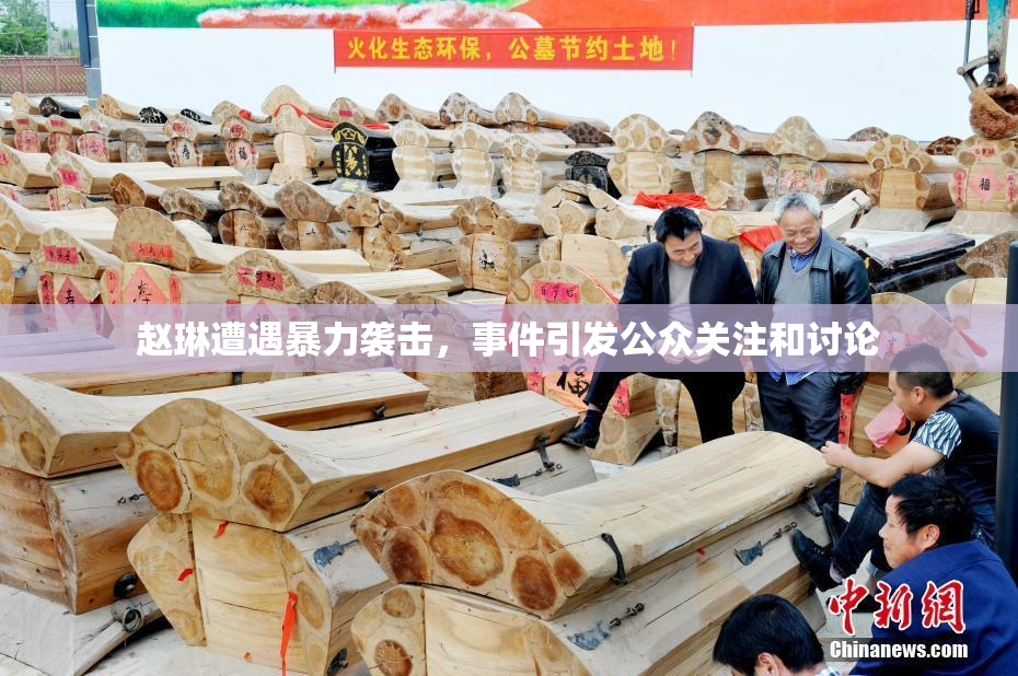 赵琳遭遇暴力袭击，事件引发公众关注和讨论