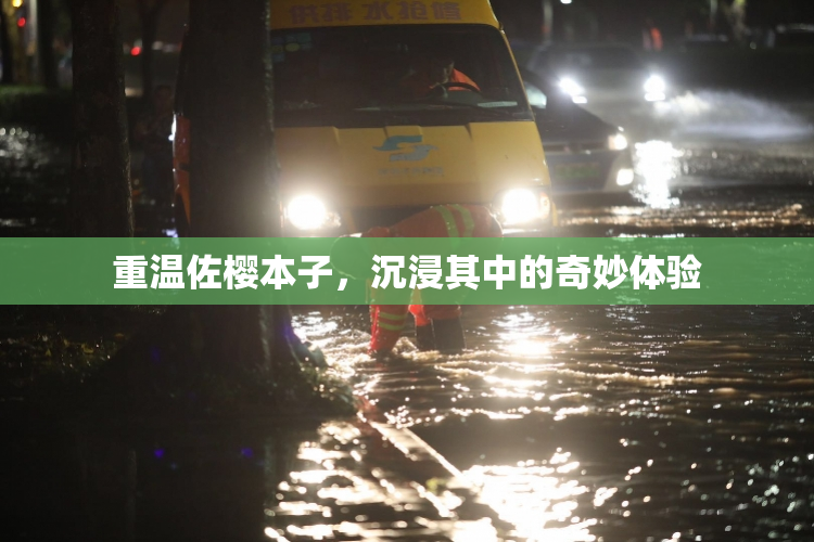 重温佐樱本子，沉浸其中的奇妙体验