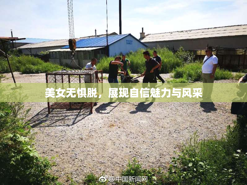 美女无惧脱，展现自信魅力与风采