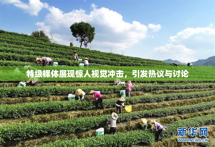 特级裸体展现惊人视觉冲击，引发热议与讨论