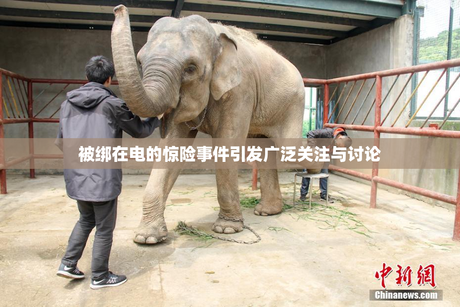 被绑在电的惊险事件引发广泛关注与讨论