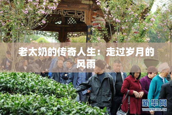 老太奶的传奇人生：走过岁月的风雨