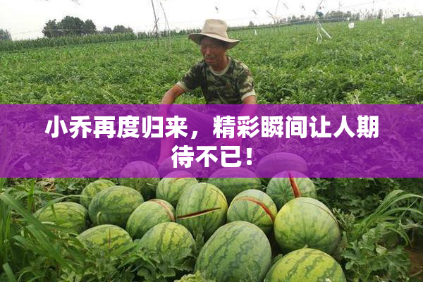 小乔再度归来，精彩瞬间让人期待不已！
