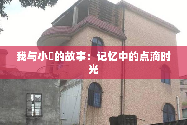 我与小娻的故事：记忆中的点滴时光