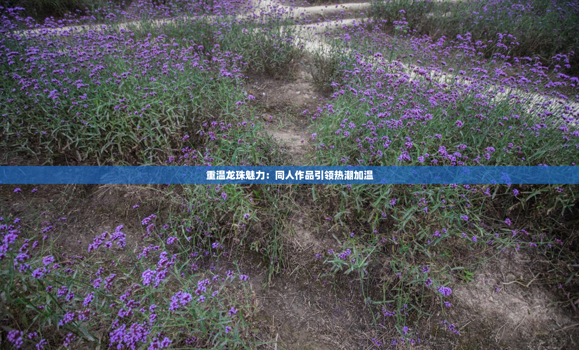 重温龙珠魅力：同人作品引领热潮加温