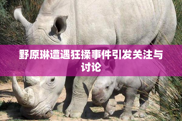 野原琳遭遇狂揉事件引发关注与讨论