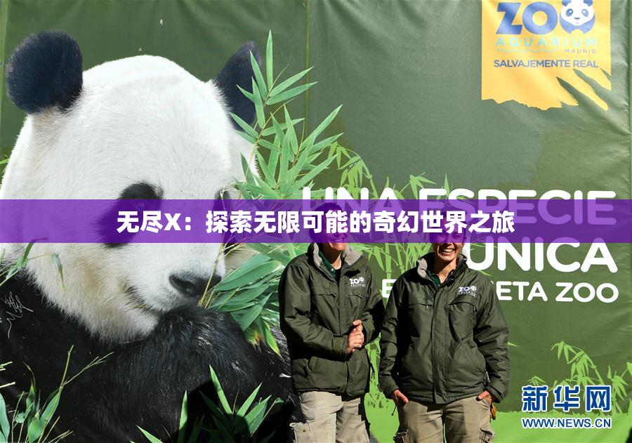 无尽X：探索无限可能的奇幻世界之旅