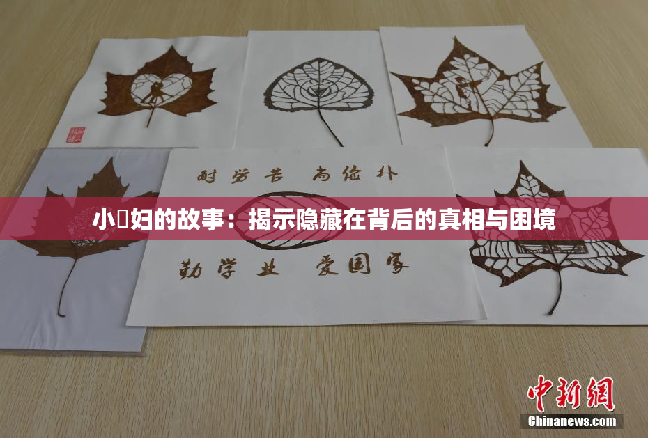 小婬妇的故事：揭示隐藏在背后的真相与困境