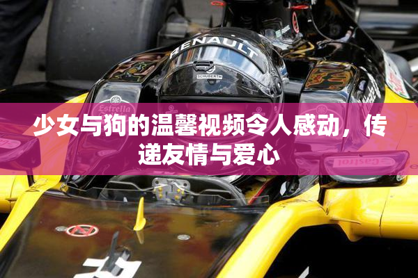 少女与狗的温馨视频令人感动，传递友情与爱心