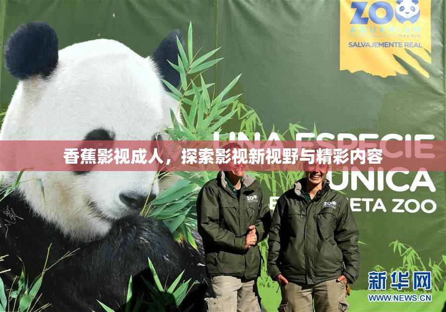 香蕉影视成人，探索影视新视野与精彩内容