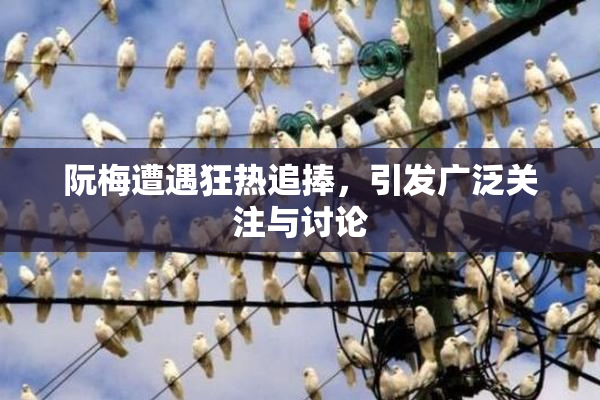 阮梅遭遇狂热追捧，引发广泛关注与讨论