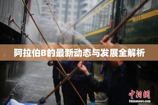 阿拉伯B的最新动态与发展全解析