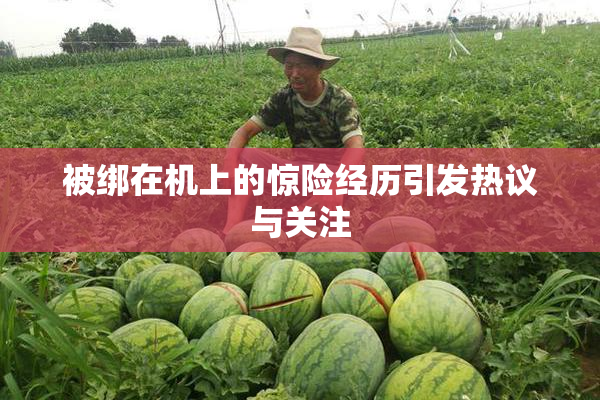 被绑在机上的惊险经历引发热议与关注