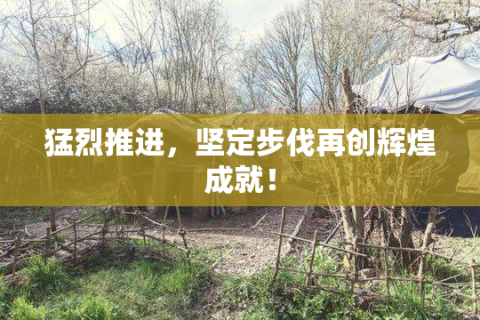 猛烈推进，坚定步伐再创辉煌成就！