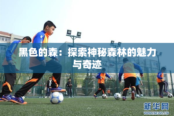 黑色的森：探索神秘森林的魅力与奇迹