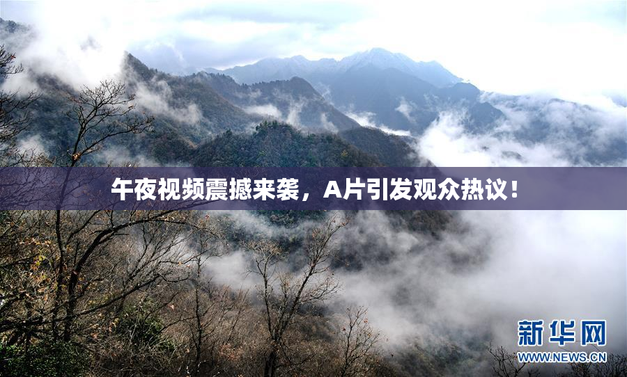午夜视频震撼来袭，A片引发观众热议！