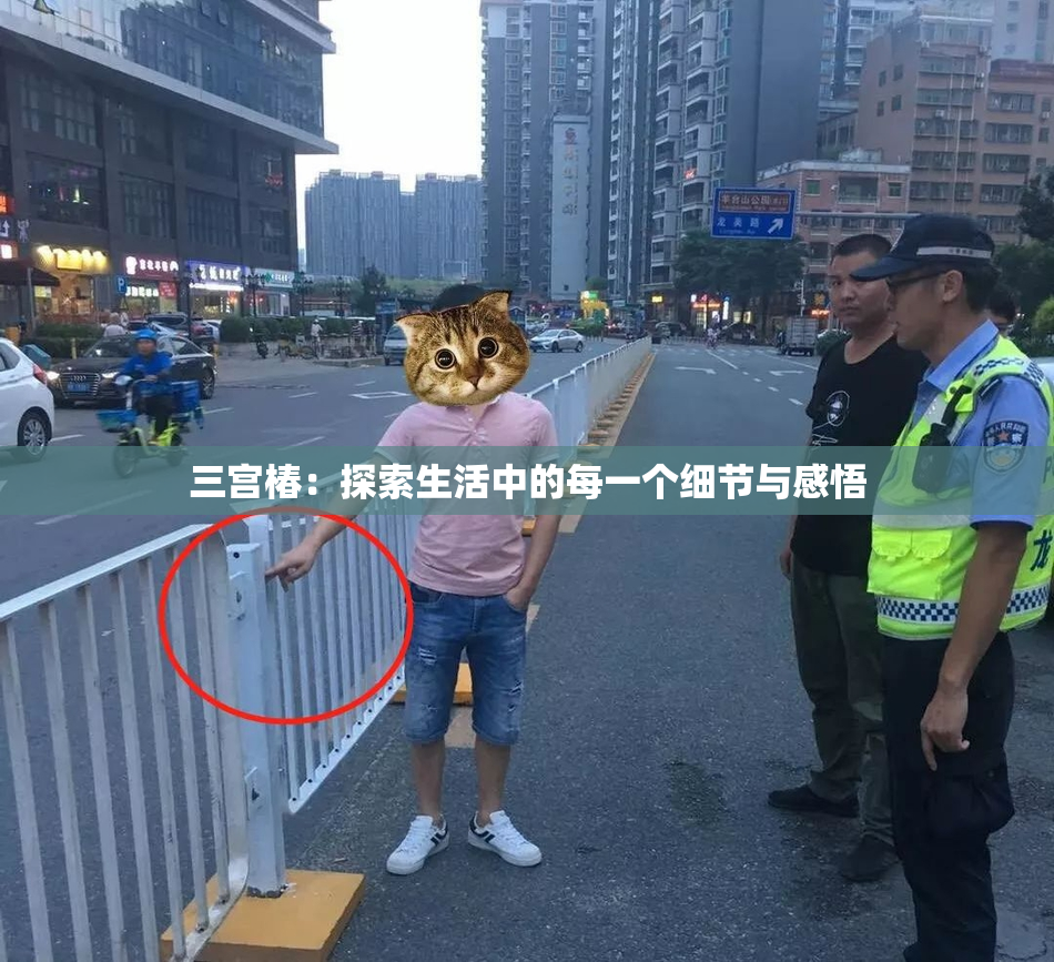 三宫椿：探索生活中的每一个细节与感悟