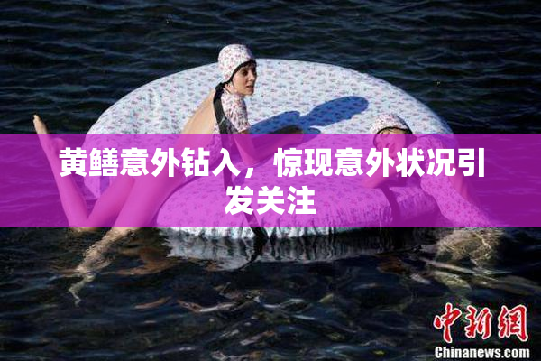 黄鳝意外钻入，惊现意外状况引发关注