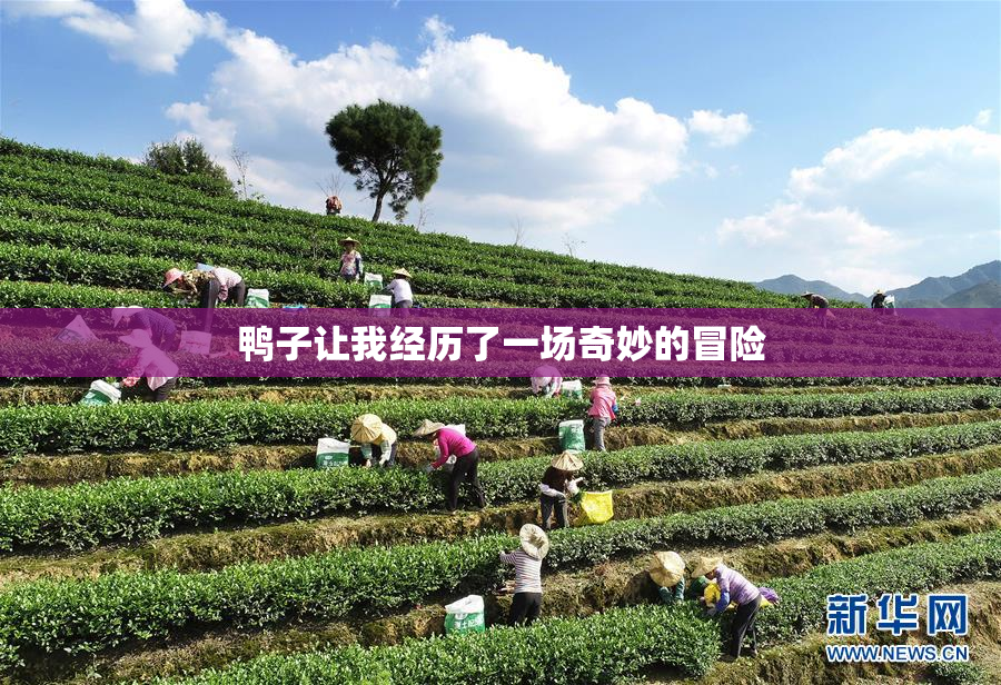 鸭子让我经历了一场奇妙的冒险
