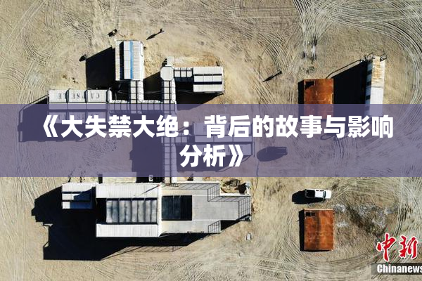 《大失禁大绝：背后的故事与影响分析》