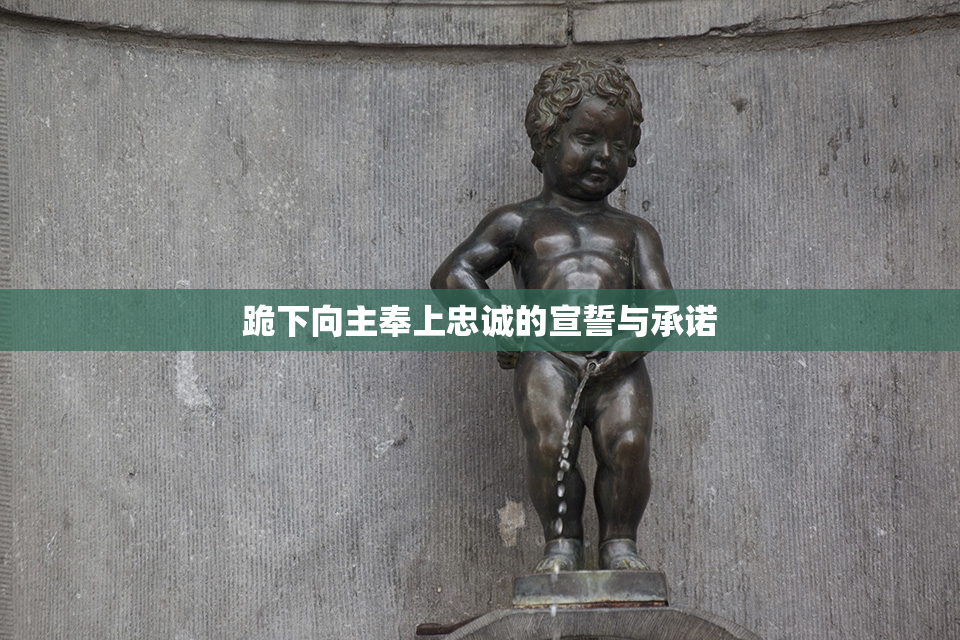 跪下向主奉上忠诚的宣誓与承诺