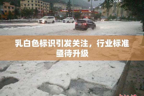 乳白色标识引发关注，行业标准亟待升级