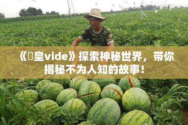 《嘼皇vide》探索神秘世界，带你揭秘不为人知的故事！