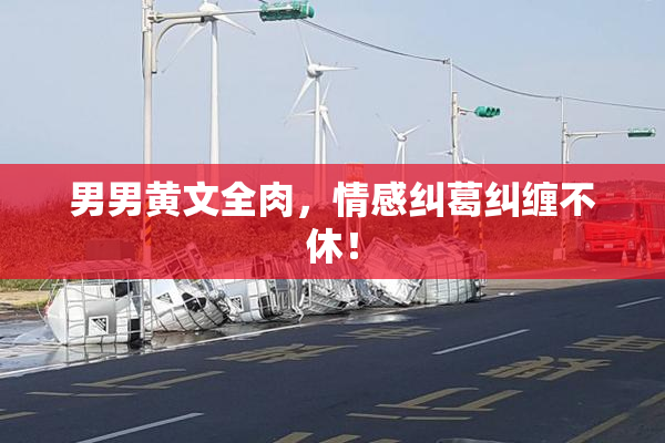 男男黄文全肉，情感纠葛纠缠不休！