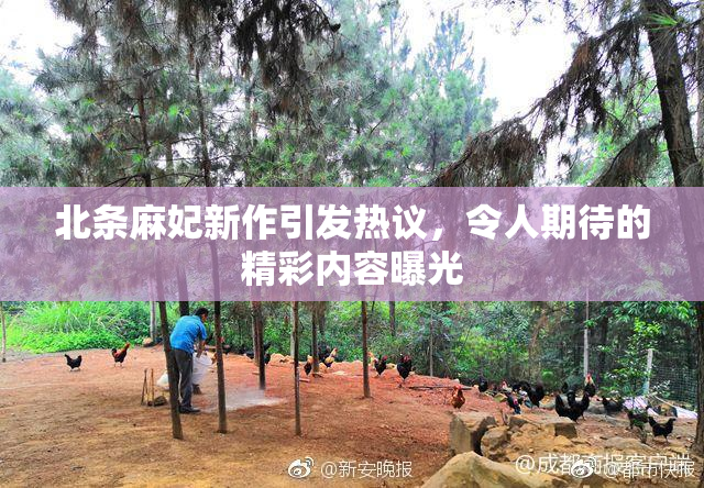 北条麻妃新作引发热议，令人期待的精彩内容曝光