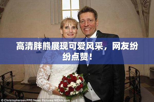 高清胖熊展现可爱风采，网友纷纷点赞！