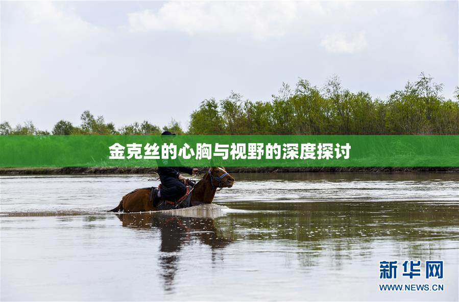 金克丝的心胸与视野的深度探讨