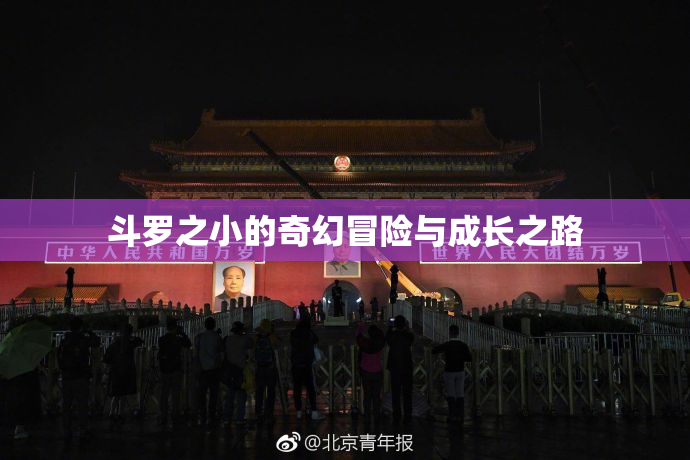 斗罗之小的奇幻冒险与成长之路