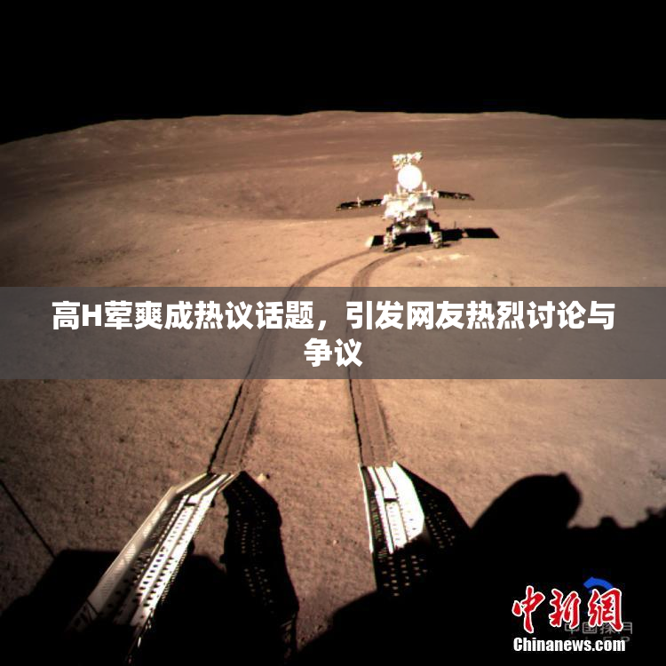 高H荤爽成热议话题，引发网友热烈讨论与争议