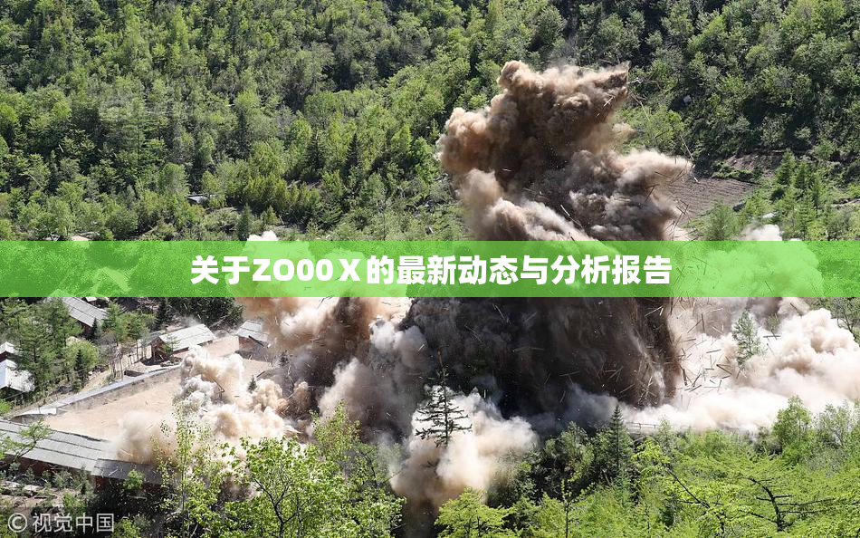 关于ZO00Ⅹ的最新动态与分析报告