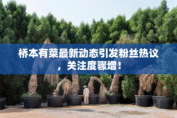 桥本有菜最新动态引发粉丝热议，关注度骤增！
