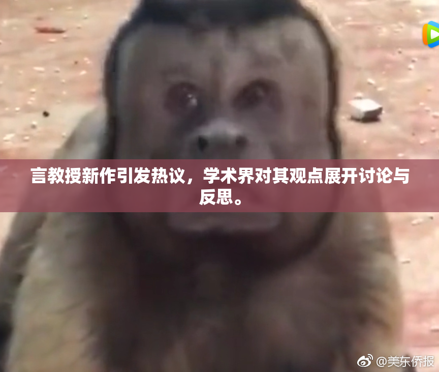 言教授新作引发热议，学术界对其观点展开讨论与反思。